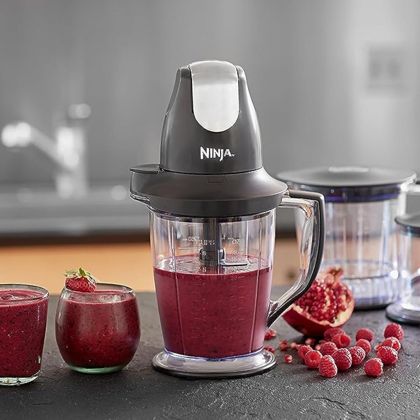 Ninja QB1004 Blender/Food Processor with 450-Watt Base,