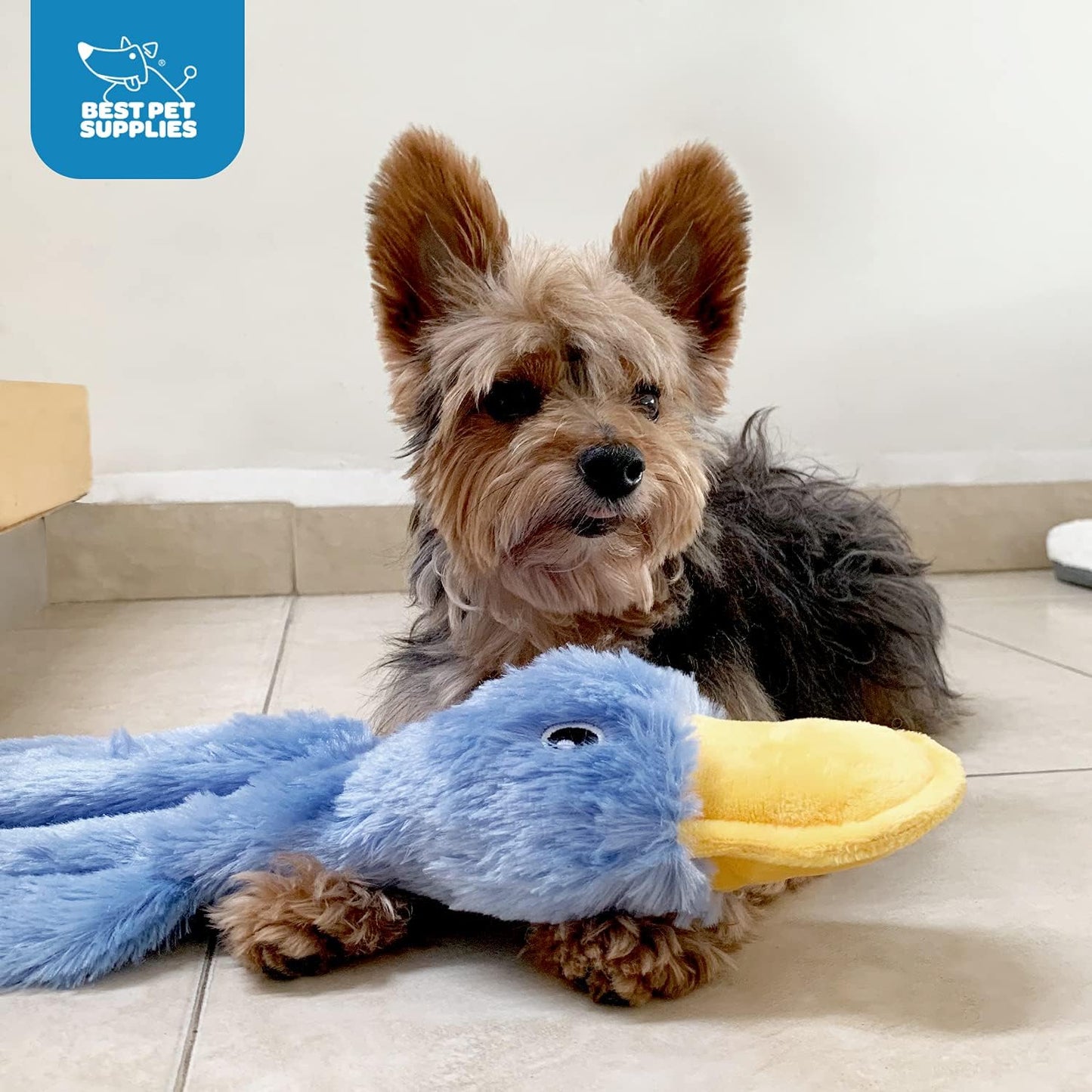 Crinkle Duck Dog Toy – No Stuffing, Soft Squeaker, Plush Chew Toy for All Breeds, Indoor Fun
