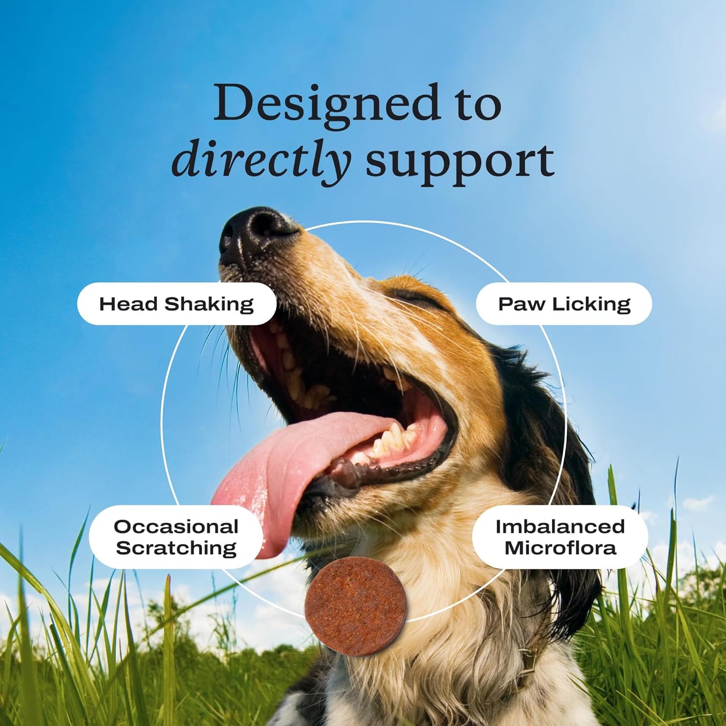 PetLab Co. Allergy & Immune Probiotics for Dogs – 30 Pork Flavor Soft Chews for Seasonal Allergy & Digestive Support